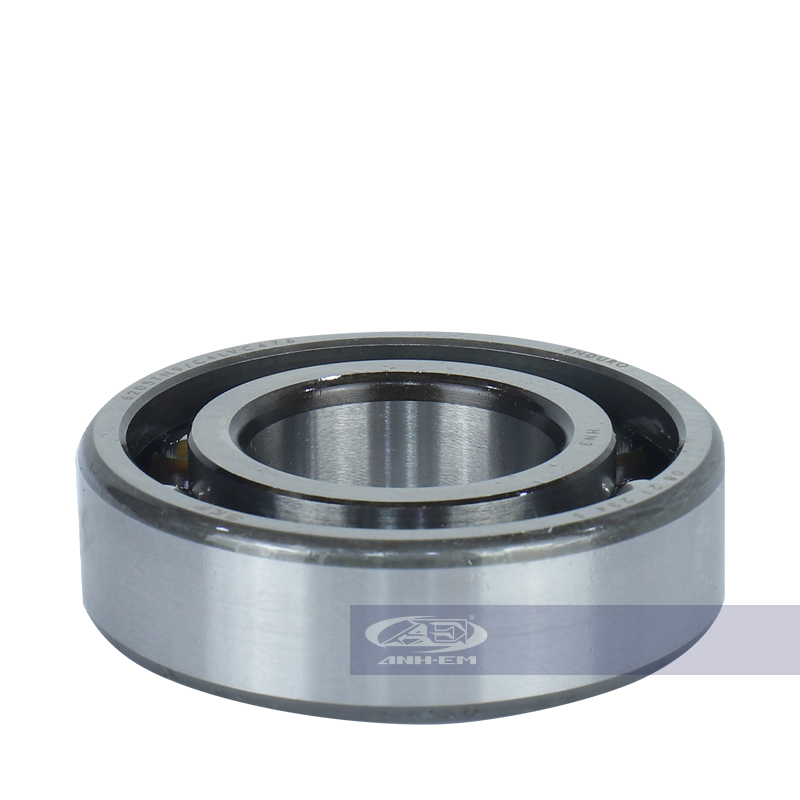 Bạc đạn dên RGV/YAZ (Koyo) 6205 - RGV120-0032