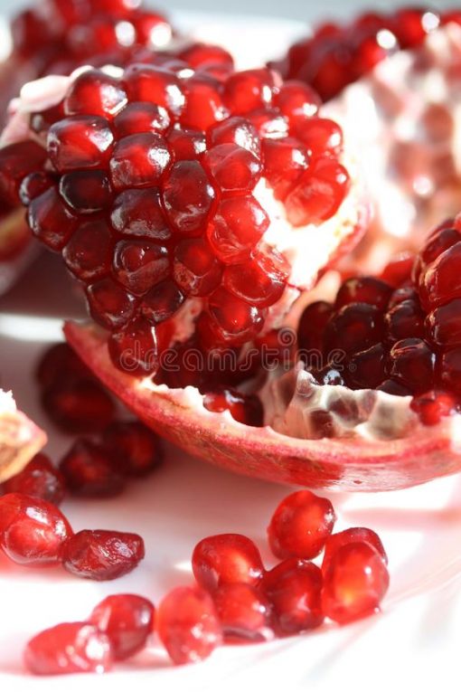CÂY GIỐNG LỰU ĐỎ KHÔNG HẠT [ LỰU HẠT LÉP - CÂY GIỐNG CAO 1M, BẦU TO ] [ GHN Express ]