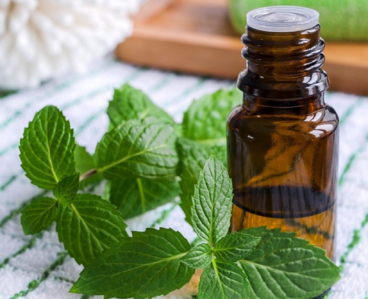 Tinh dầu bạc hà 10ml