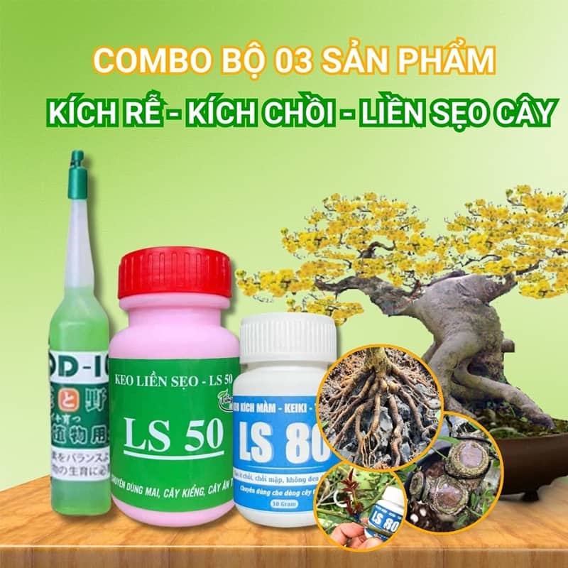 Combo Siêu Kích Rễ - Kích Chồi - Làm Liền Sẹo Cho Cây