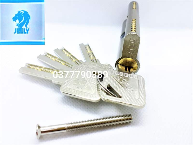 [HCM]ruột khóa tay gạt jeely