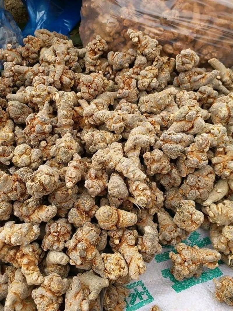 Tam thất bắc khô 500g (loại 7 củ/lạng)