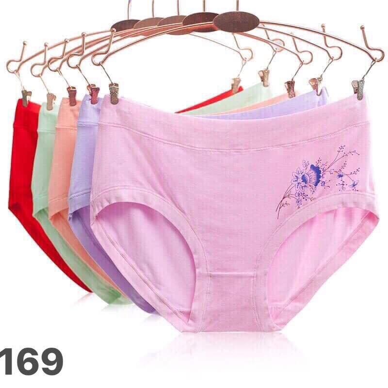 Set 5 Quần Lót Cotton Thái Lan Mịn Mát Bigsize 169 (7P69)