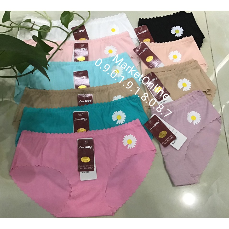 Combo 10 quần lót su hoa cúc lưng thun mã 2017 freesize dưới 55kg