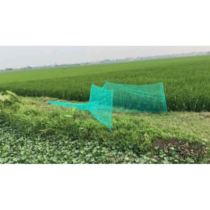 đăng chặn sông dớn bắt cá lưới bắt cá 6m đến 8m