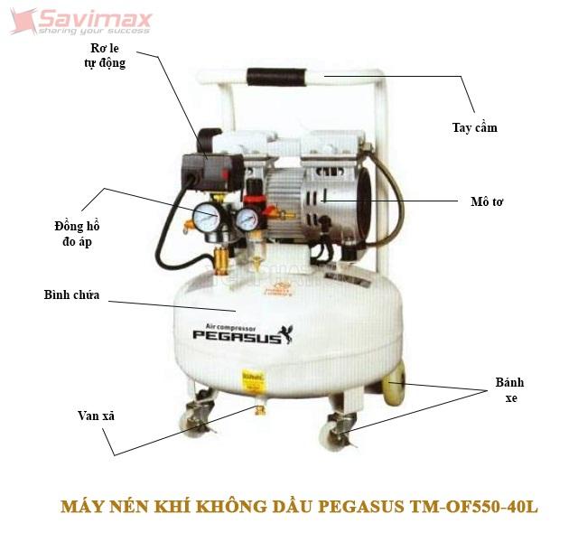 Máy nén khí không dầu Pegasus TM-OF750