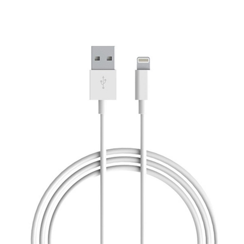 Bộ Cốc (Cục, Củ) Và Cáp Sạc Cho iPad iPhone 12W 2.4A USB Lightning US Plug