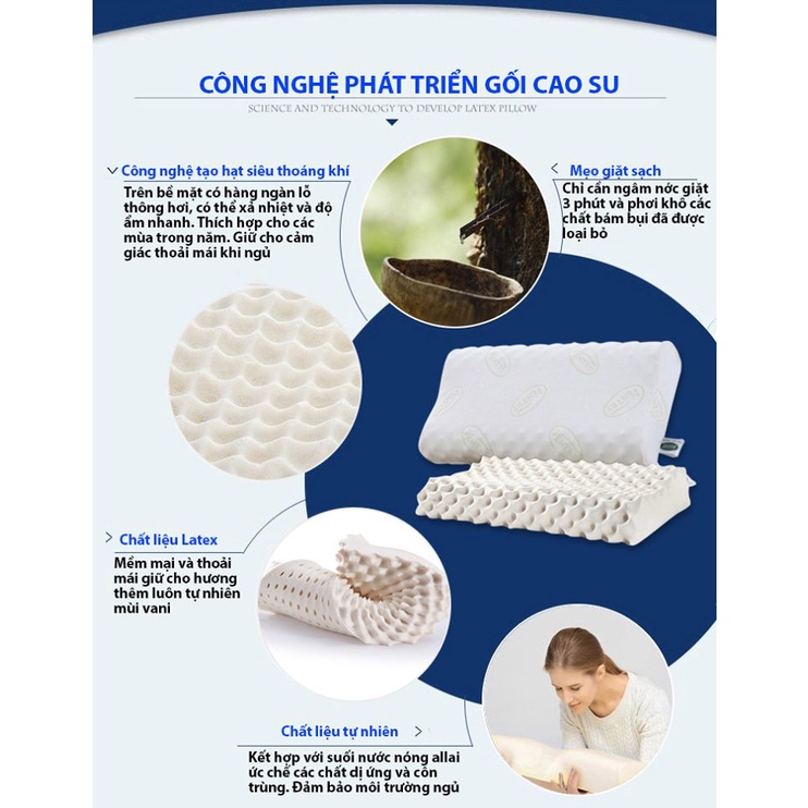GỐI CAO SU NON VENTRY THÁI LAN CHỐNG VẸO CỔ