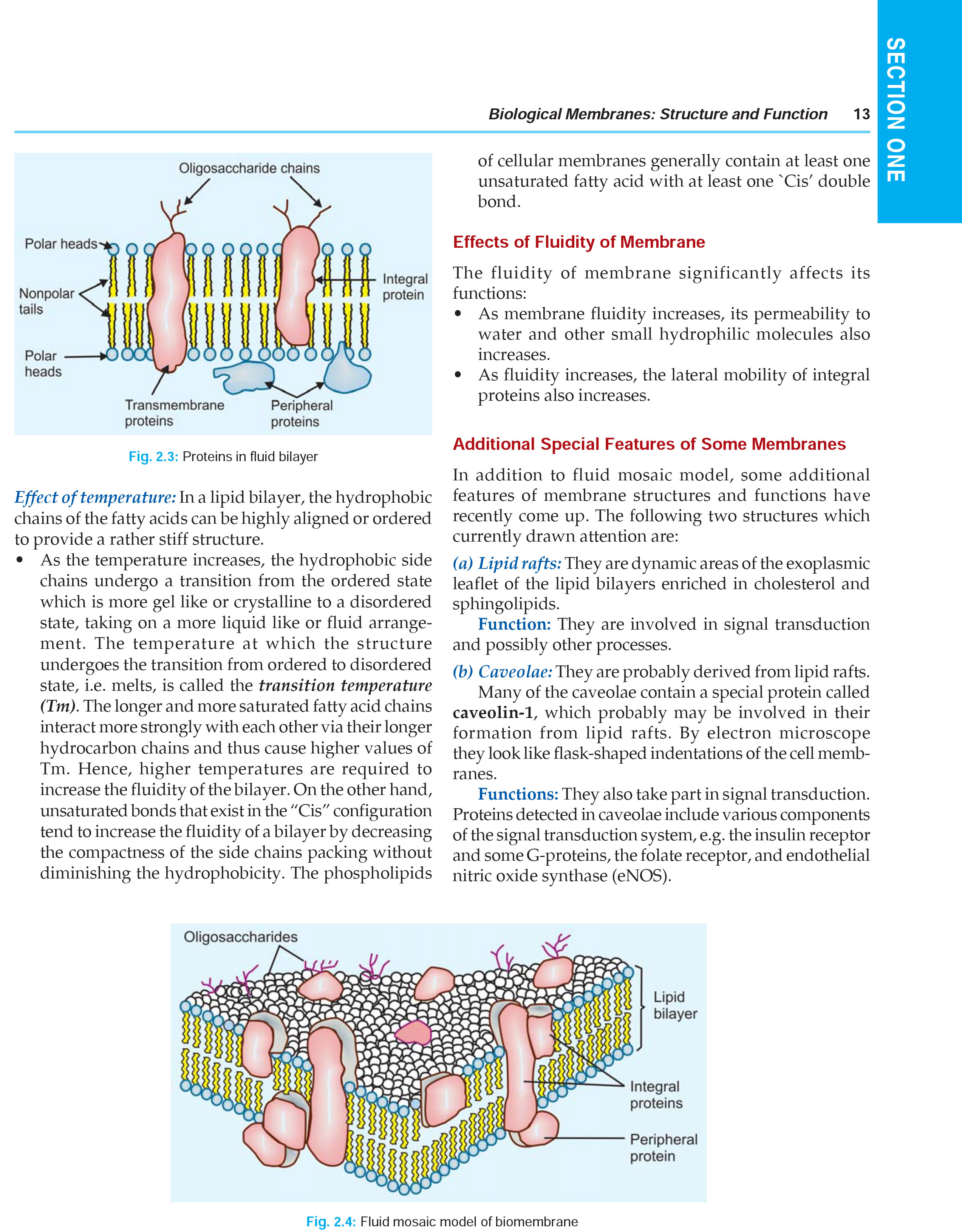 Textbook of Medical Biochemistry