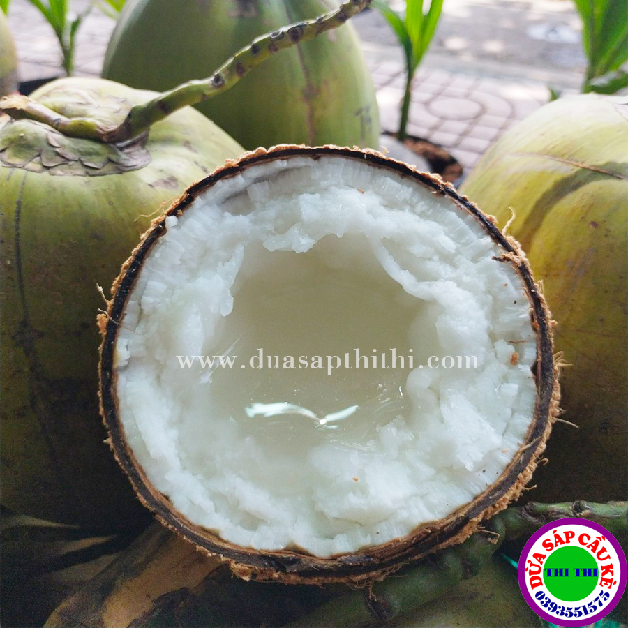 Dừa Sáp hượng Hạng Loại 1 - Size Lớn (Trái 1Kg-1.1Kg)