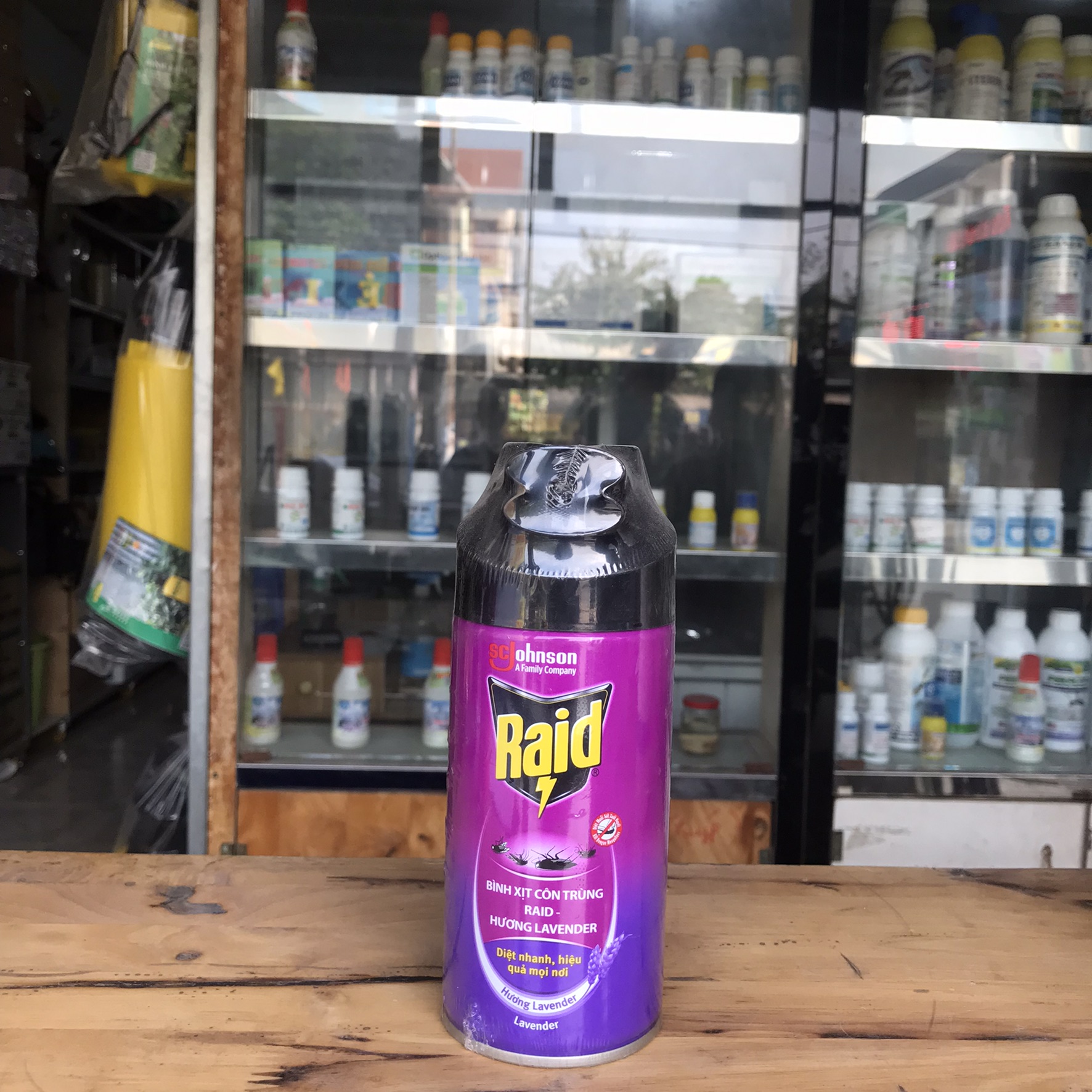 Bình xịt muỗi và côn trùng Raid (Chai 300ml) hương ngẫu nhiên