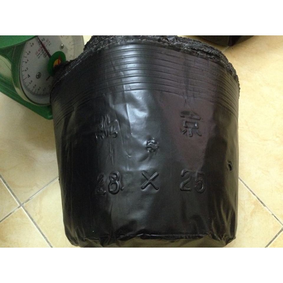 Combo 10 bầu nilon trồng cây 28x25