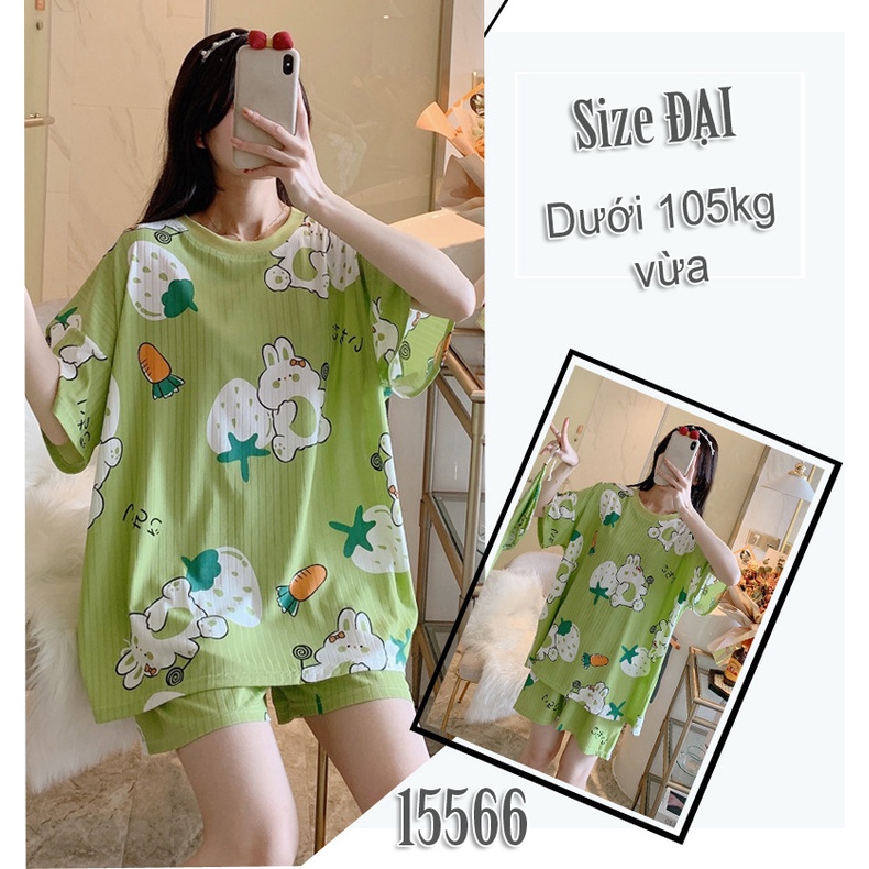 [ 110kg vừa ]  Đồ Bộ short BIG SIZE họa tiết cute SS-DAI 15566