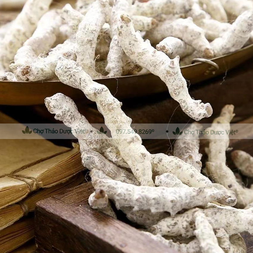 Bạch cương tằm 100g, tằm vôi khô, trắng, nguyên con - Chợ Thảo Dược Việt