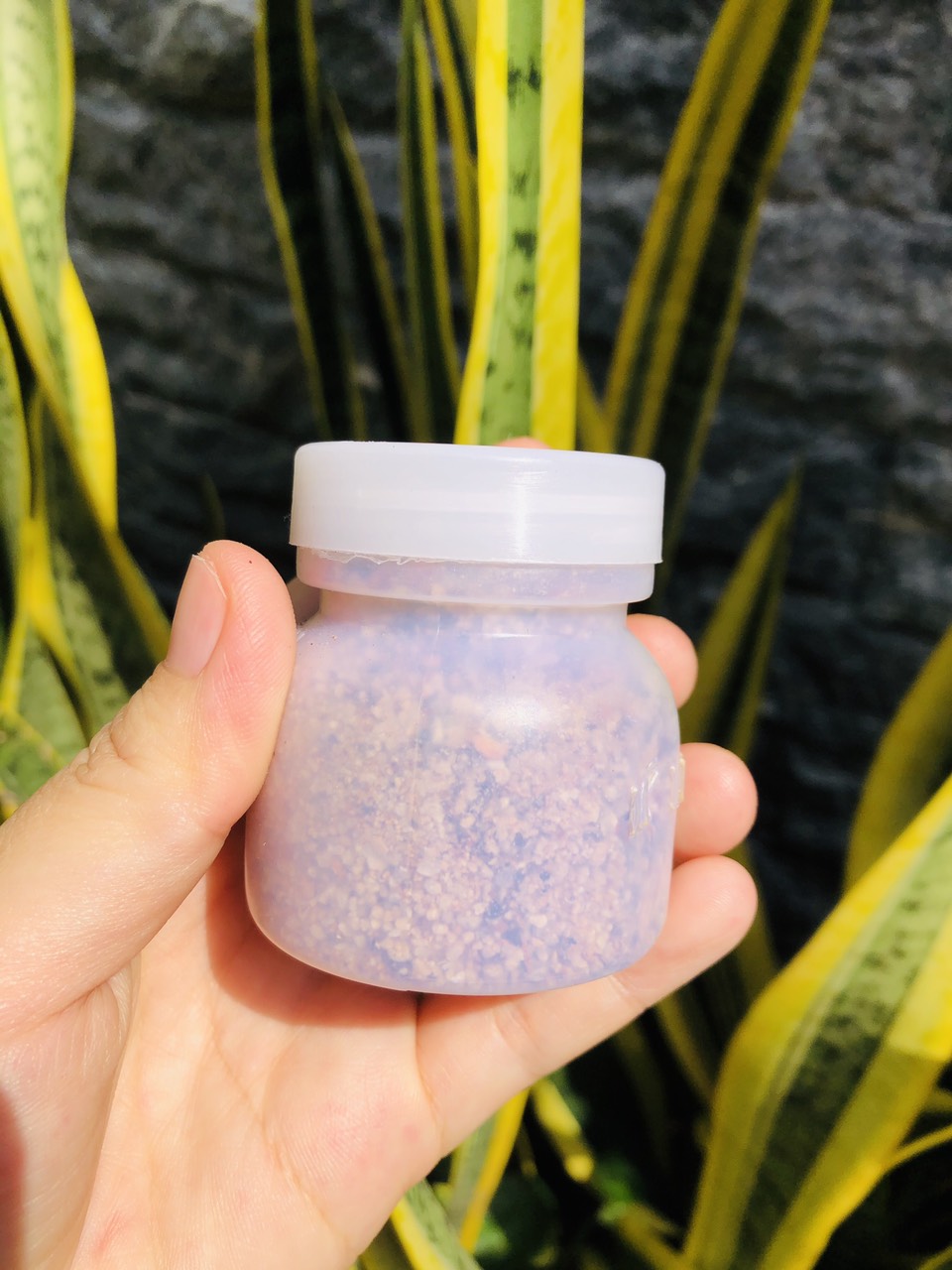 MUỐI TIÊU LỐP ( THƠM- CAY)