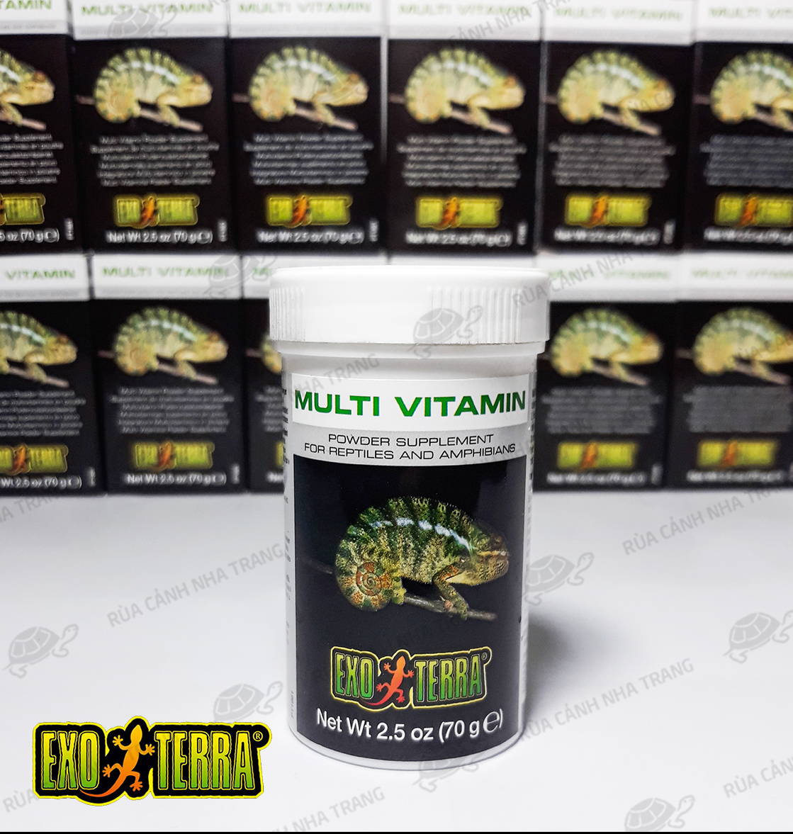 VITAMIN CHO THÚ CƯNG BÒ SÁT