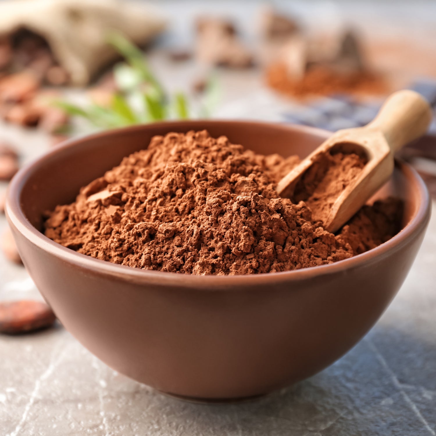 BỘT CACAO NGUYÊN CHẤT 50G/100G