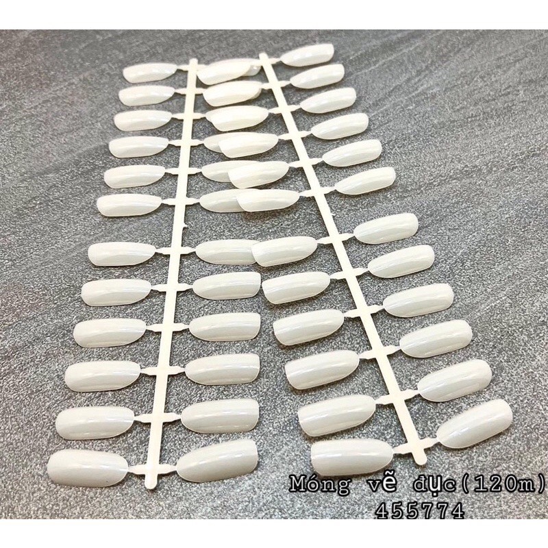 Móng giả tập sơn vẽ nail