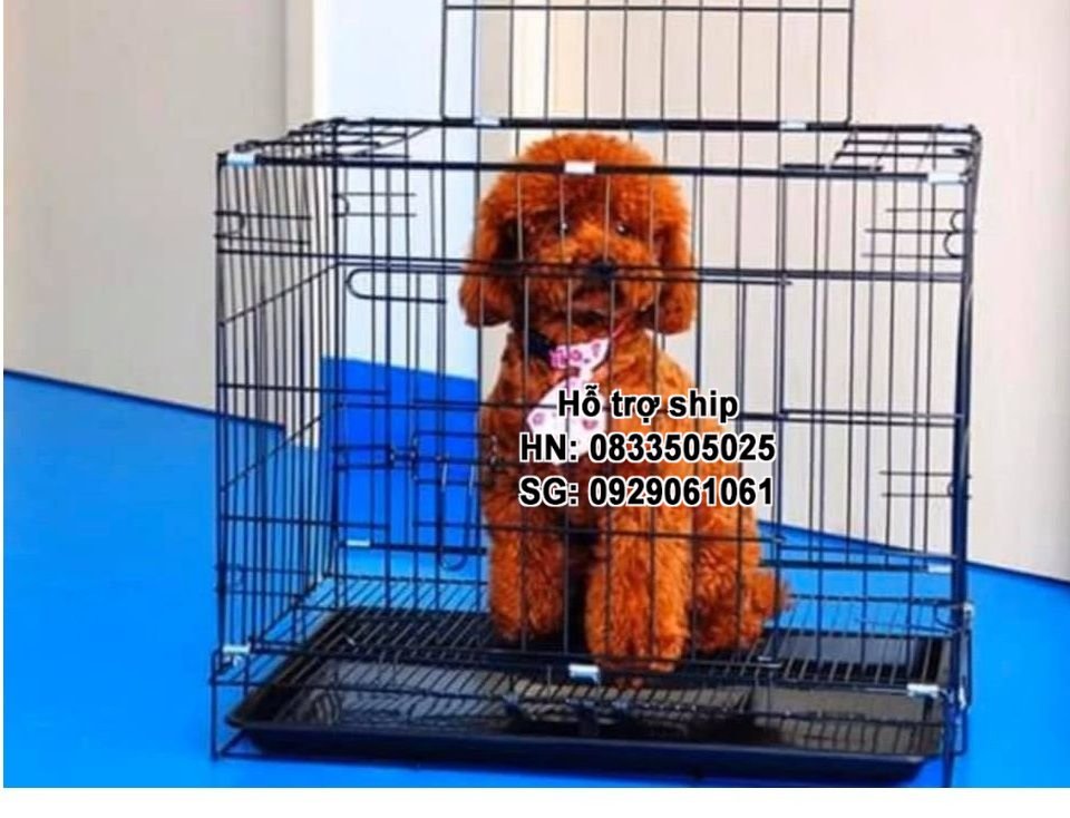 - Hanpet - Chuồng nuôi chó mèo dưới 22kg - lồng nuôi chó mèo - Chuồng chó - lồng chó gấp gọn sơn tĩnh điện chuồng mèo / chuồng nuôi mèo / lồng mèo / lồng nuôi mèo