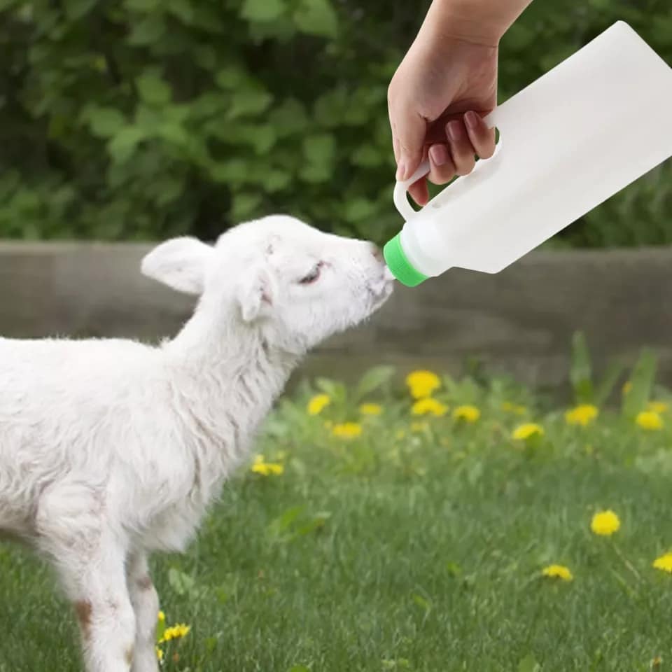 Bình cho dê con bú cầm tay - ruvet việt nam - dụng cụ thú y - thuốc thú y