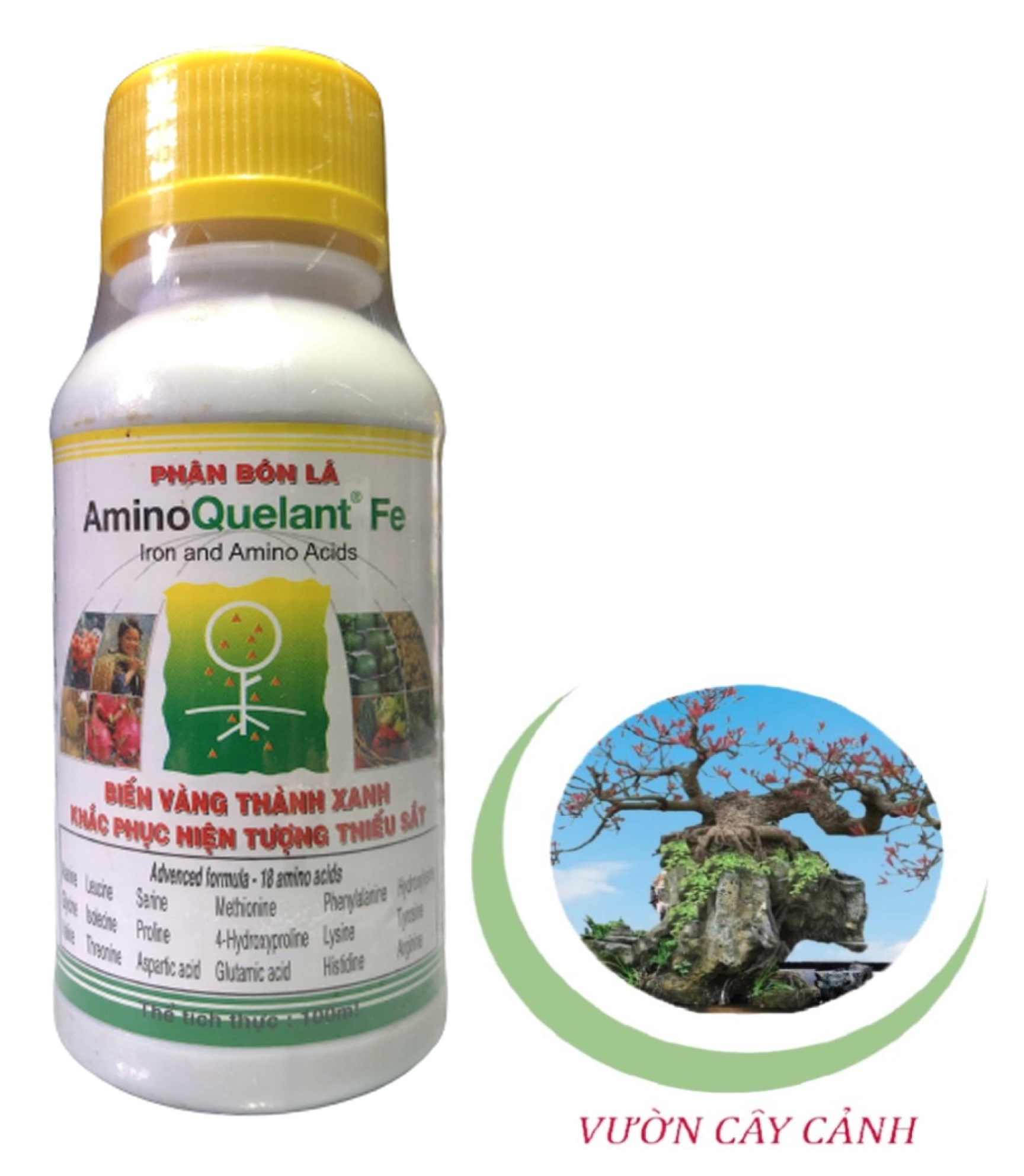 Phân bón lá amino quelant fe - #065a# 100ml