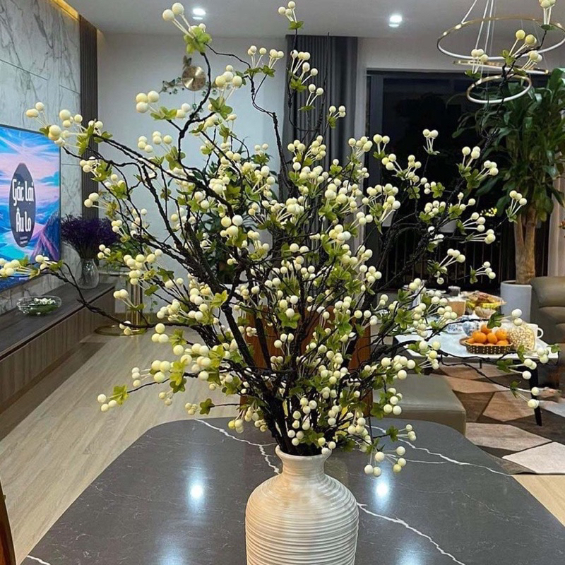 Cành Chery cổ (Cành Tuyết sơ ry cổ) cao cấp