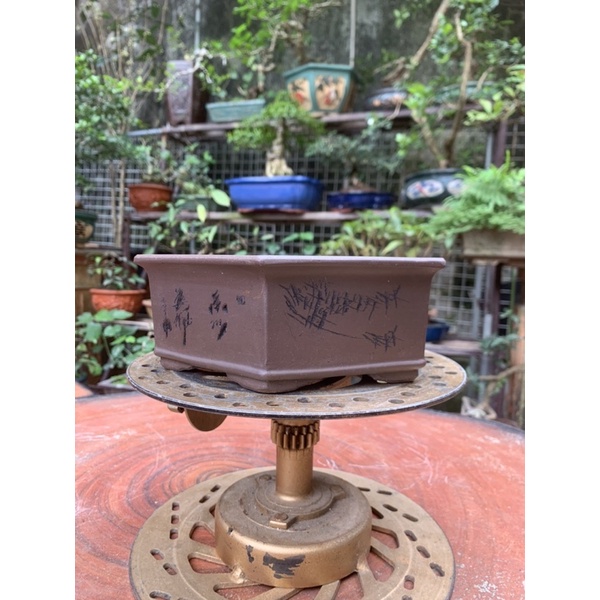 Chậu gốm tàu chậu trồng cây bonsai mini