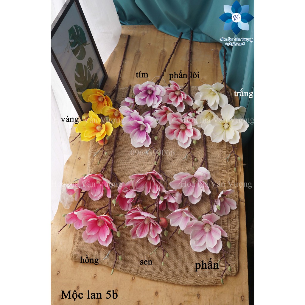 Hoa Giả, Cành Hoa Mộc Lan 5 Bông
