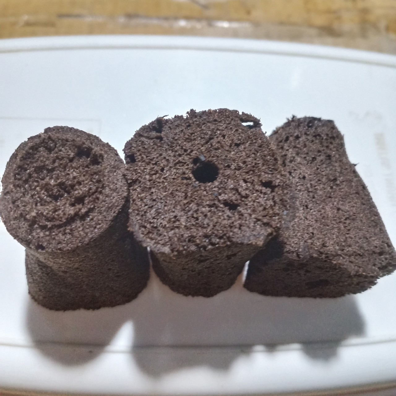 Mút ươm kie hữu cơ Mỹ (10 viên)