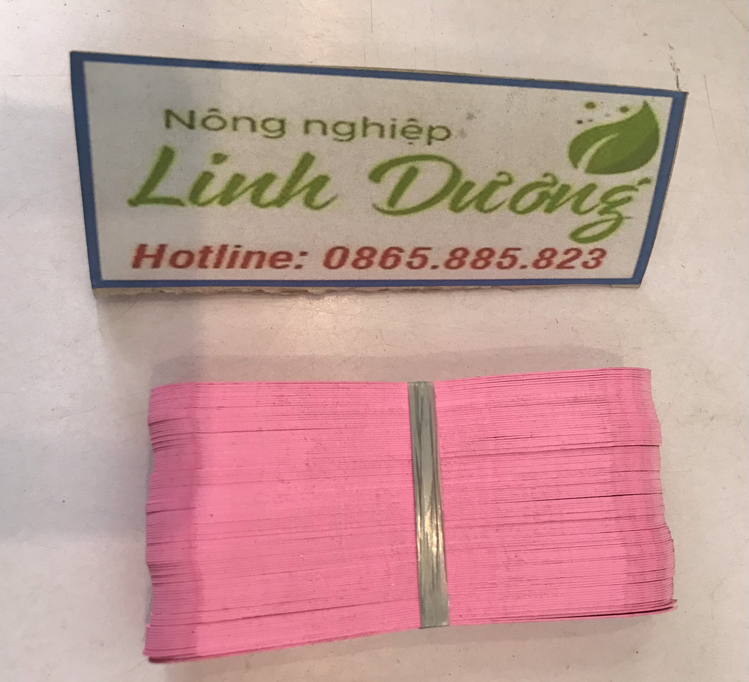 Thẻ ghi tên giấy cho Lan