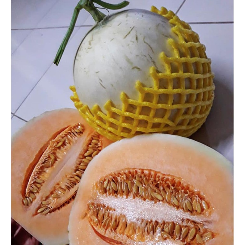 DƯA ĐỎ NỮ THẦN MẶT TRỜI (CANTALOUPE )