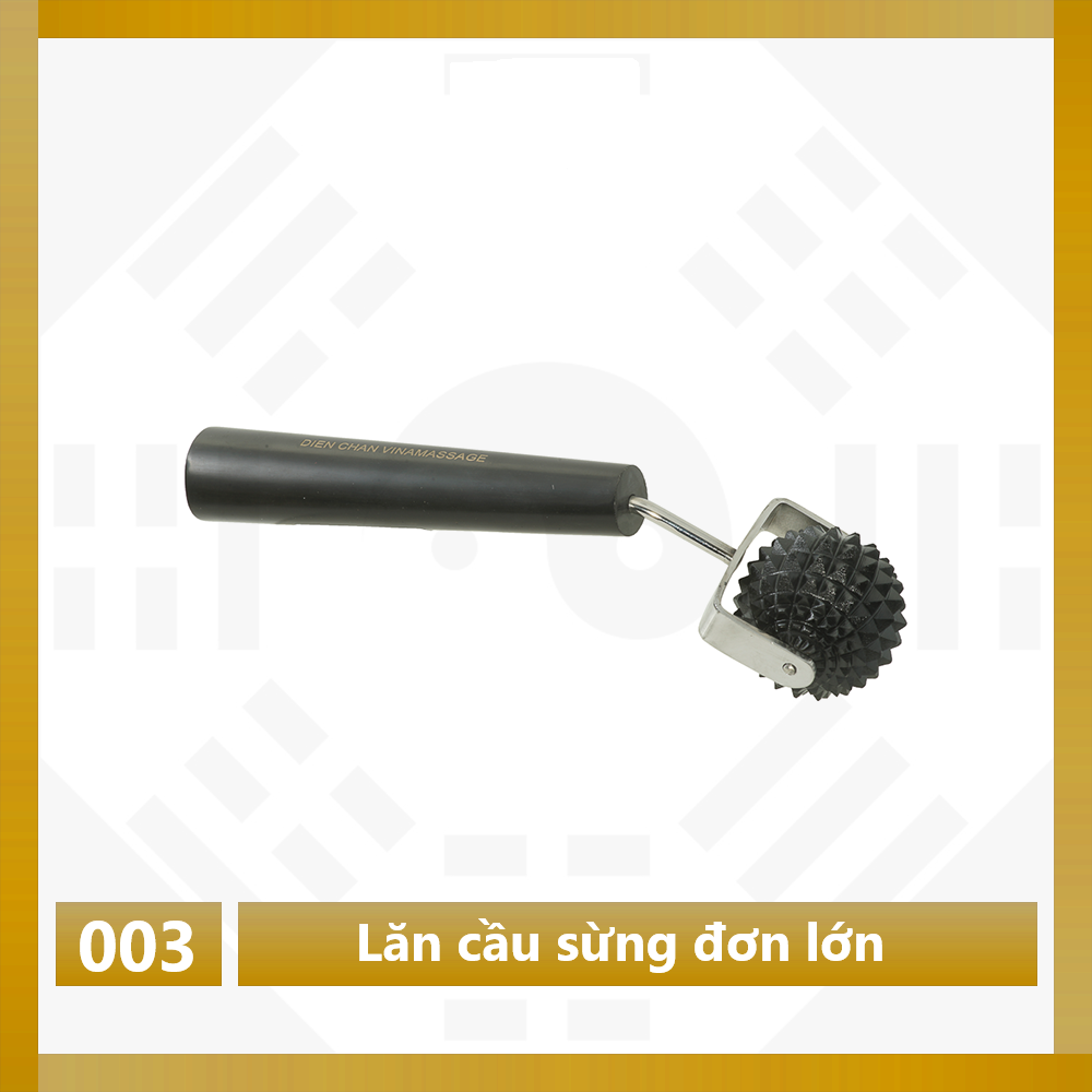 THANH LĂN CẦU SỪNG ĐƠN LỚN DIỆN CHẨN