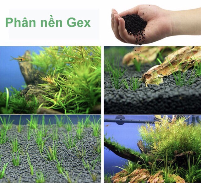 Phân nền GEX XANH nhật bản cho hồ cá thủy sinh - 8kg