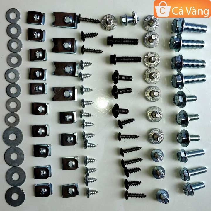 Ốc bắt bộ nhựa xe máy wave alpha, rs loại ốc như zin