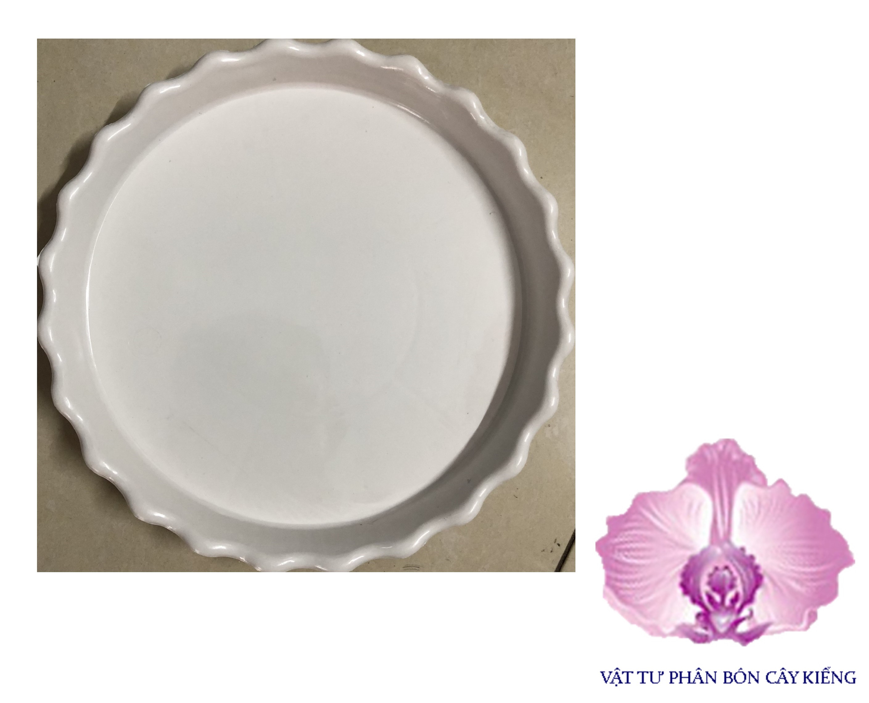 Đĩa lót chậu tròn khía 22cm - #052d#