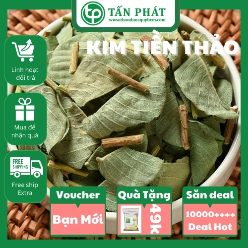 [HOT] Trà kim tiền thảo khô tấn phát 1kg - Hàng sạch chuyên dùng để pha trà lợi tiểu