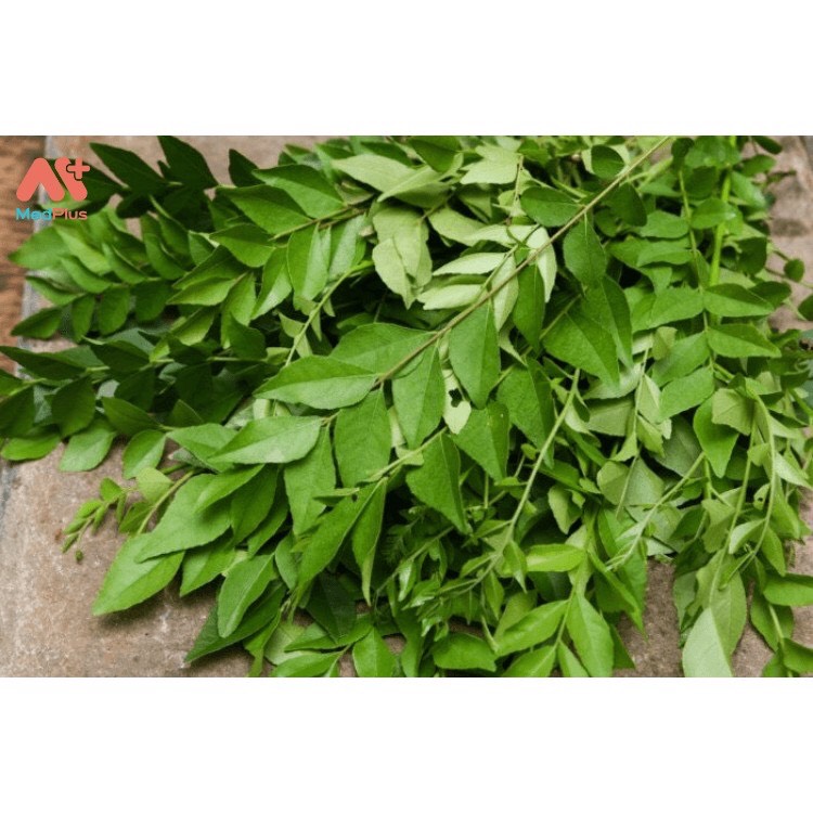 Lá Cà Ri Tươi (500 gram ) Gia Vị Cho Món Ăn Thơm Ngon