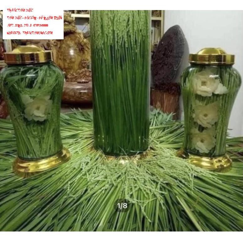 1kg Đòng đòng lúa nếp ngâm