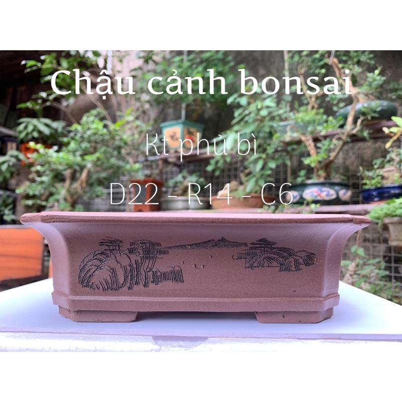 Chậu gốm Tử Sa - Chậu gốm tàu - Chậu chữ nhật- Chậu trồng cây bonsai - chậu trồng sen đá - chậu cảnh bonsai