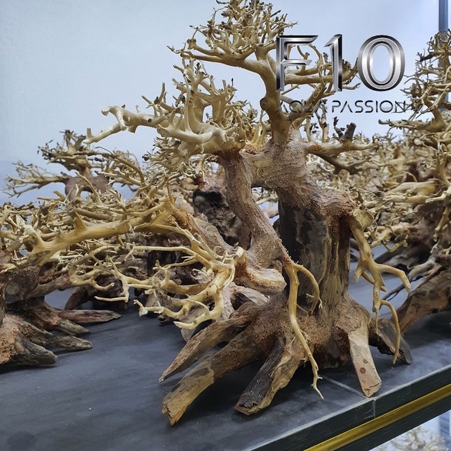 Cây lũa bonsai trang trí hồ bể cá thủy sinh đẹp giá rẻ