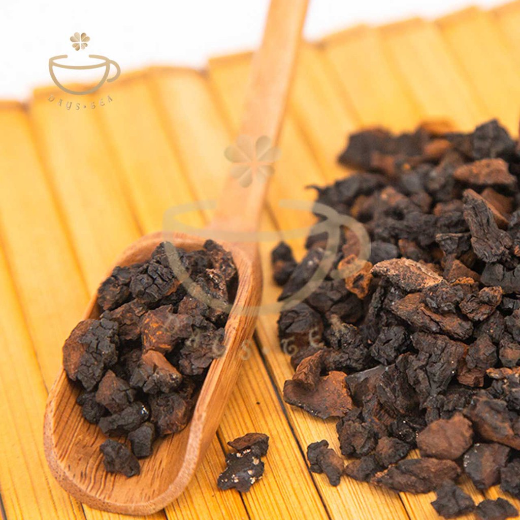 NẤM CHAGA 100G