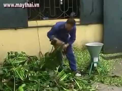 Máy băm lục bình tại Bến Tre, máy băm rau bèo