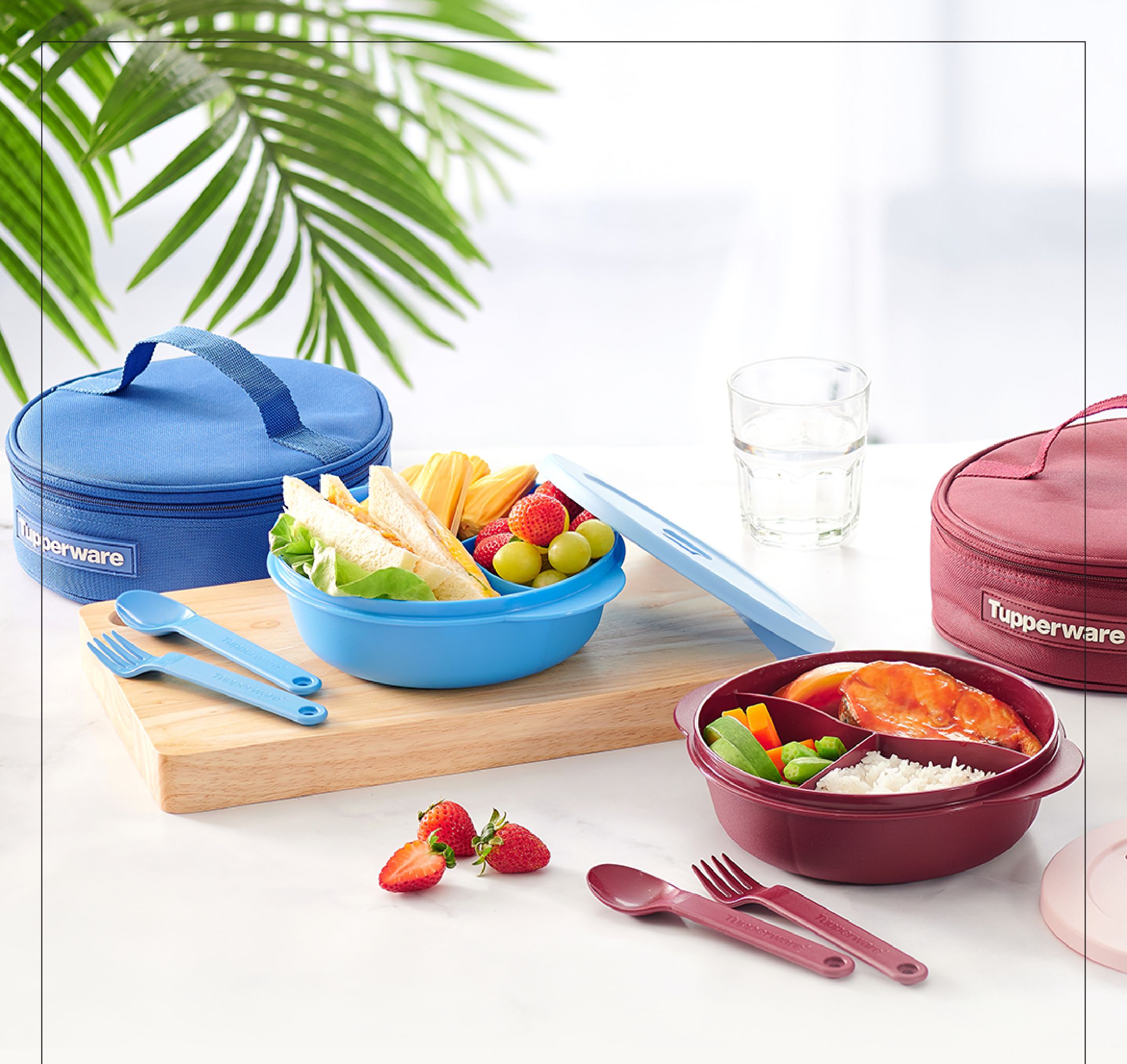 Bộ Hộp Cơm Chia Ngăn Tupperware Crystalwave Lunch Set (gồm túi xách, hộp cơm, muỗng nĩa)