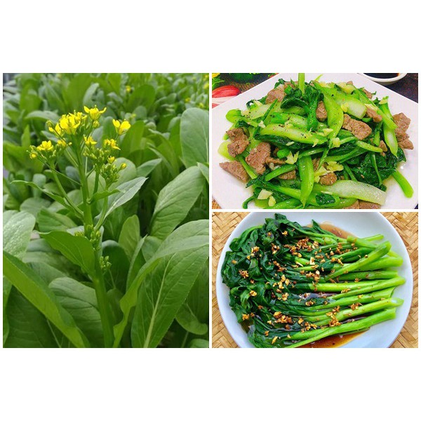[HCM][Gói 20g] Hạt giống rau cải ngồng