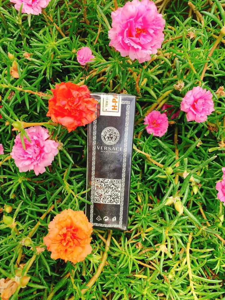 Nước hoa mini Pháp Hparfum VERSACE ĐEN Nam dạng lăn 12ml