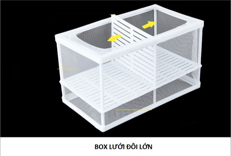 Box Lưới - Lồng Cách Ly, Dưỡng Cá Tép Bằng Vải Lưới
