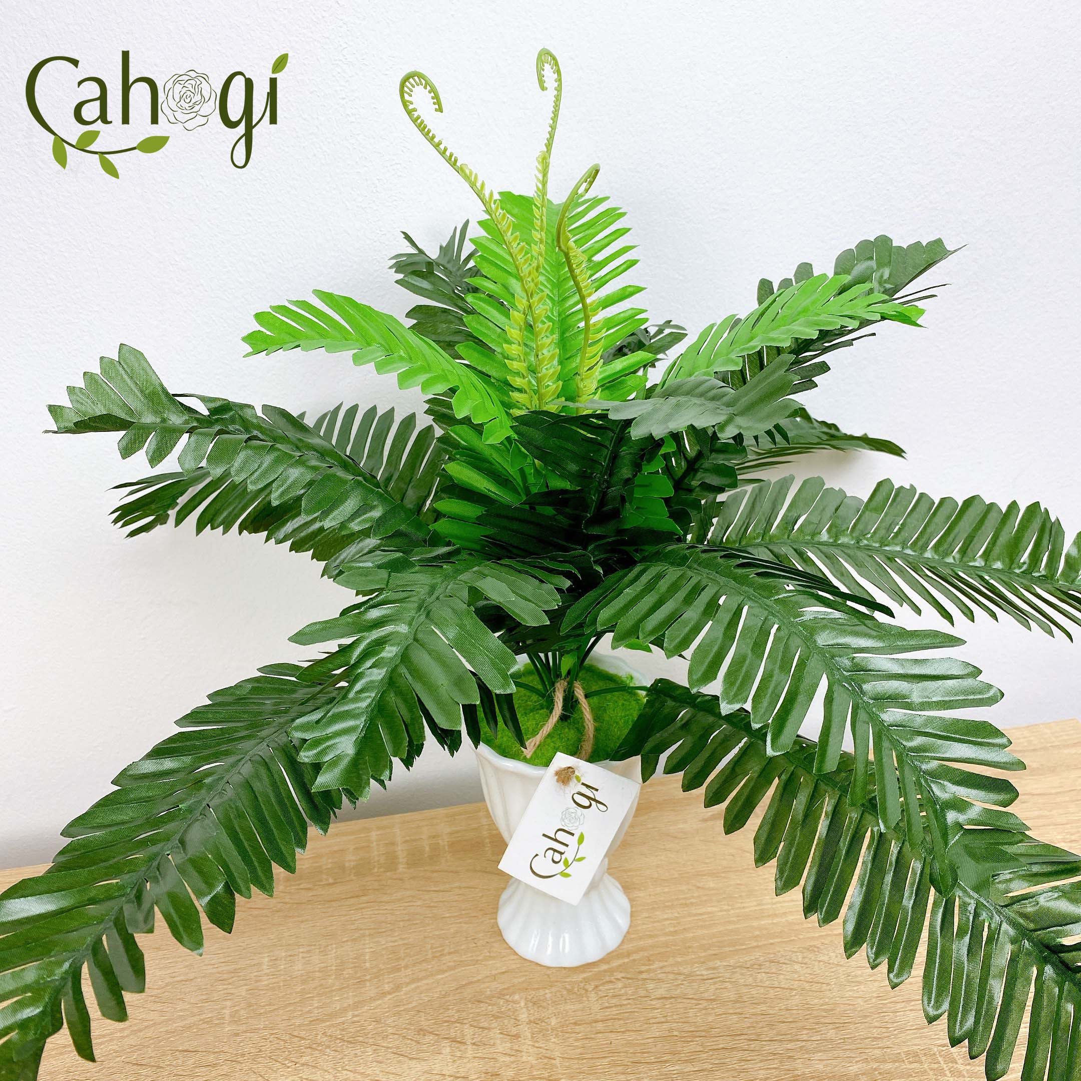 Cây Giả Cây Vạn Tuế Cỡ Trung Bằng Vải