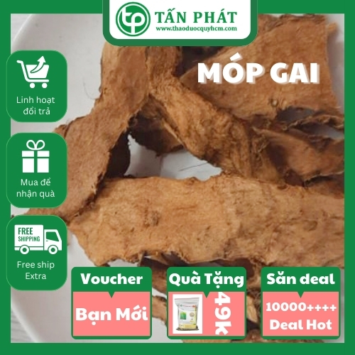 Combo móp gai khô cao cấp 2kg - Hàng công ty mới về hàng - Chuyên dùng để sắc nước và pha trà