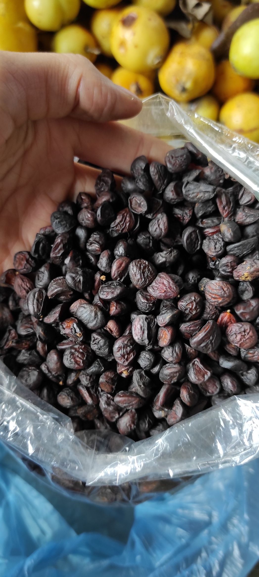 hạt dổi rừng tây bắc loại 1