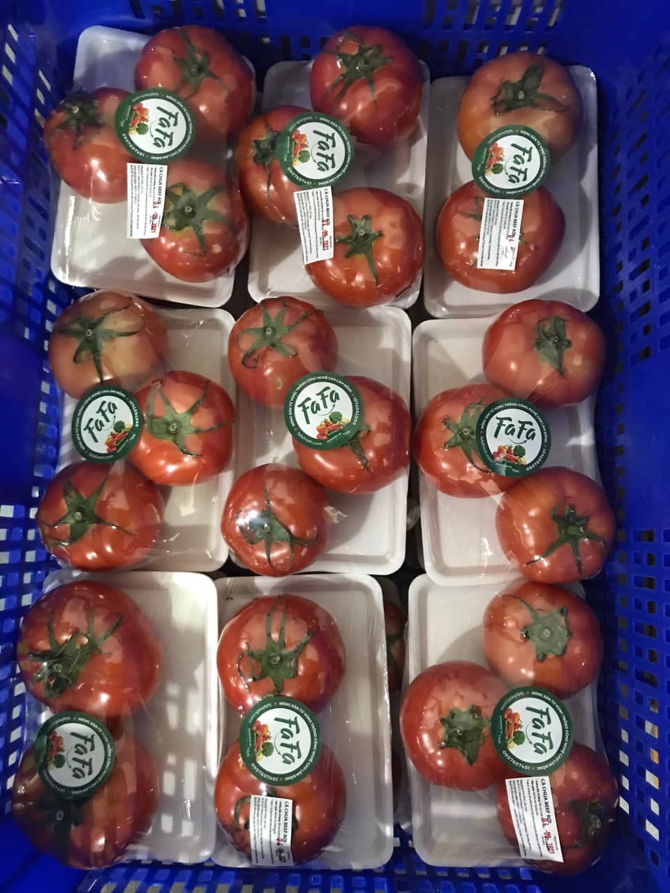 Cà chua Đà Lạt FAFA 500gr/túi